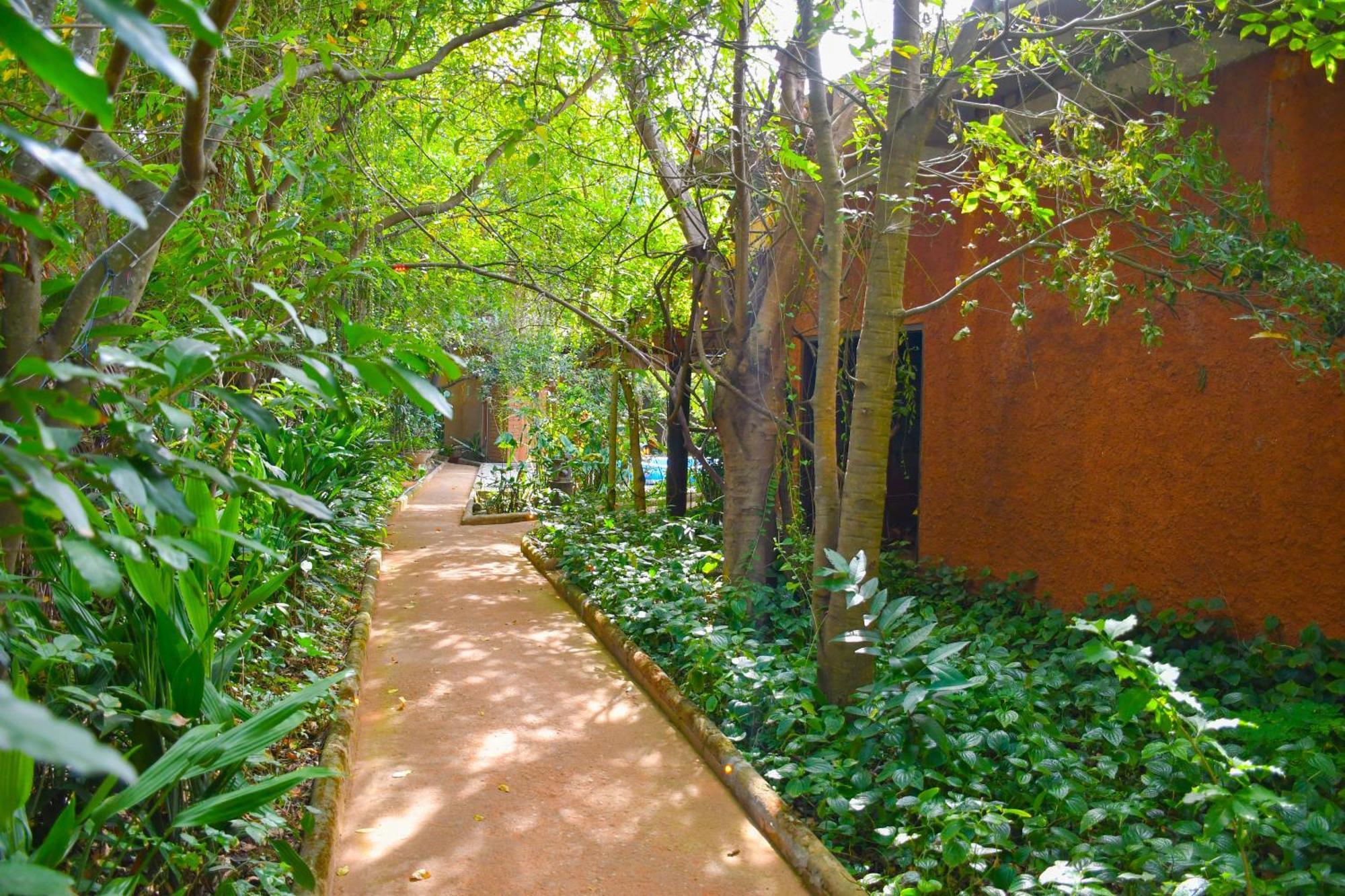 Hotel Gala Addara Dambulla Extérieur photo